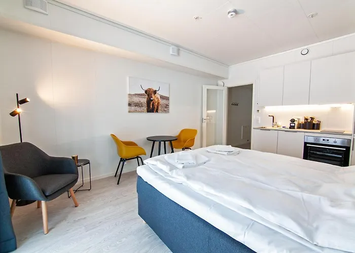 Stylish And Serviced Studio In Lofoten *
